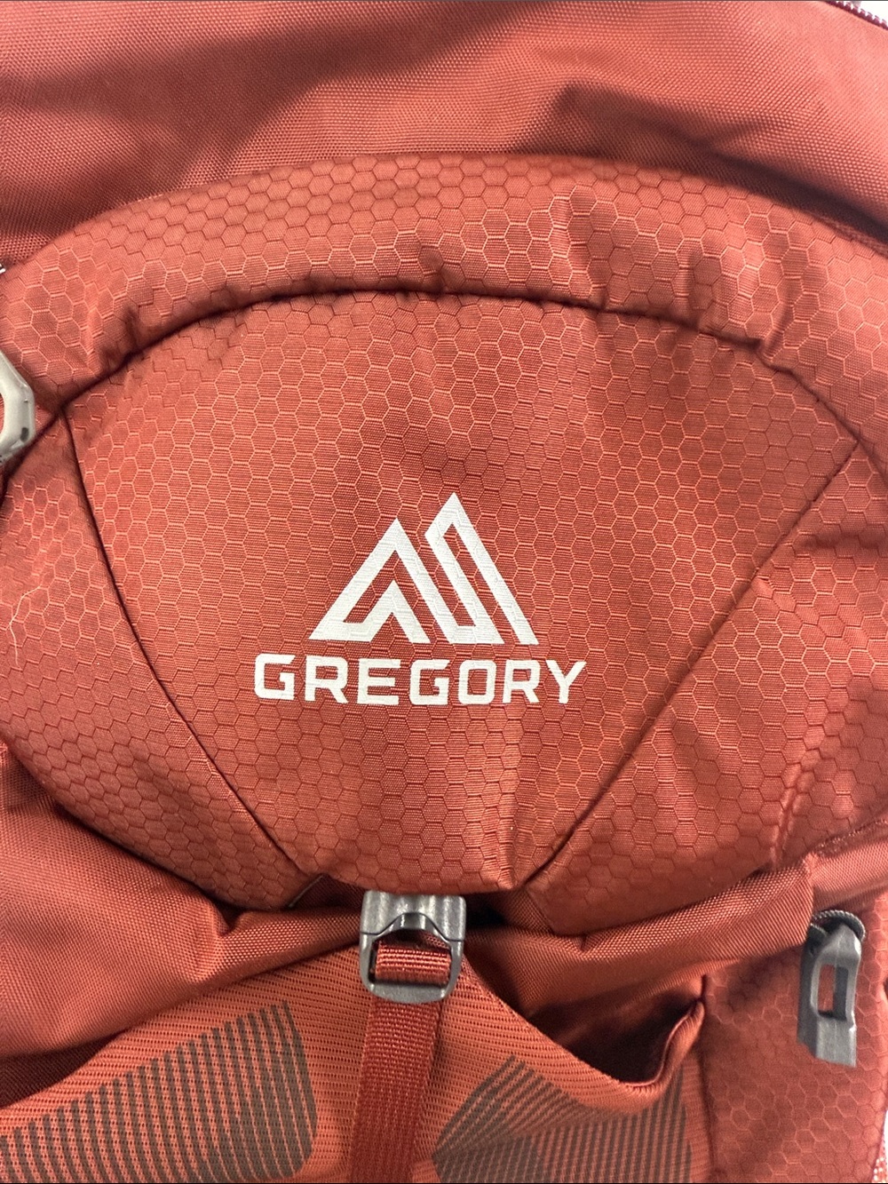 Gregory Citro Daypack Backpack in Deep Brick Red - Picture 2 of 6